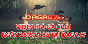 VIDEO ĐÁ GÀ CPC1 NGÀY 28/6/2025 TẠI DAGA67