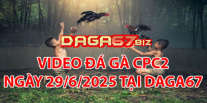 VIDEO ĐÁ GÀ CPC2 NGÀY 29/6/2025 TẠI DAGA67