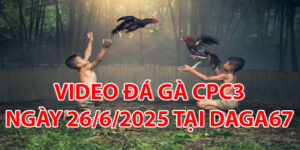 VIDEO ĐÁ GÀ CPC3 NGÀY 26/6/2025 TẠI DAGA67