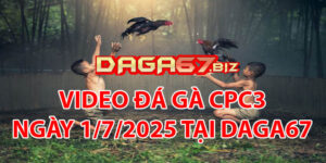 VIDEO ĐÁ GÀ CPC3 NGÀY 1/7/2025 TẠI DAGA67