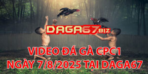 VIDEO ĐÁ GÀ CPC1 NGÀY 7/8/2025 TẠI DAGA67