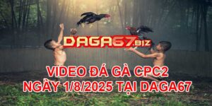 VIDEO ĐÁ GÀ CPC2 NGÀY 1/8/2025 TẠI DAGA67