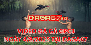 VIDEO ĐÁ GÀ CPC3 NGÀY 4/8/2025 TẠI DAGA67