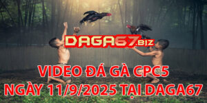 VIDEO ĐÁ GÀ CPC5 NGÀY 11/9/2025 TẠI DAGA67